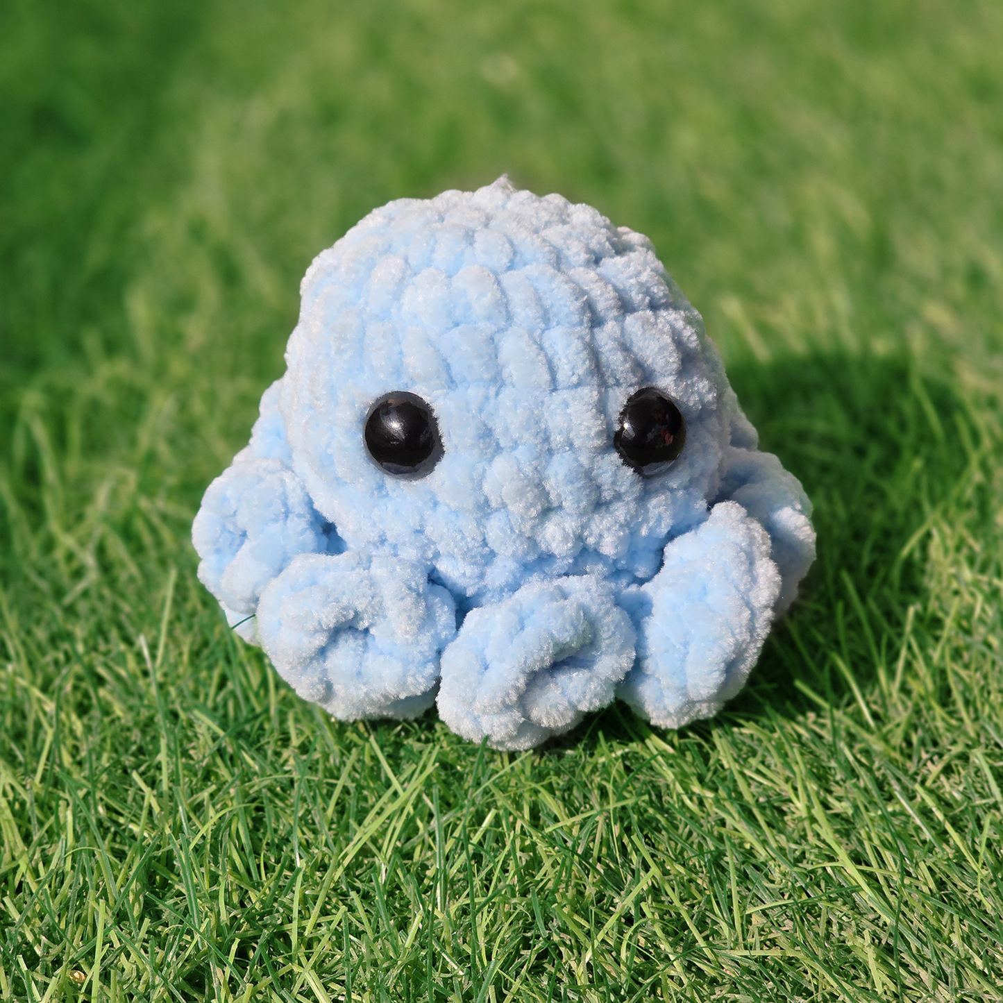 Baby Octopus
