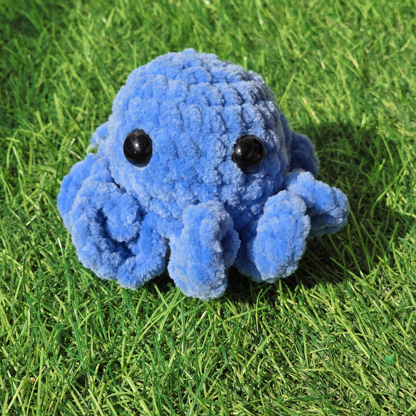 Baby Octopus