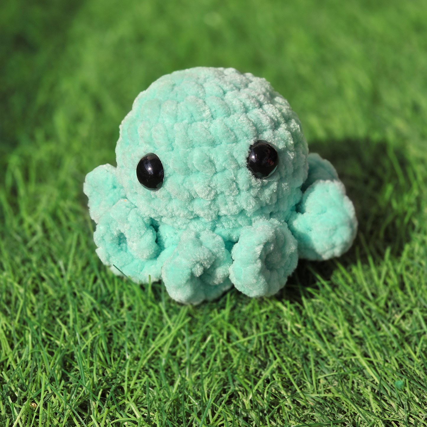 Baby Octopus