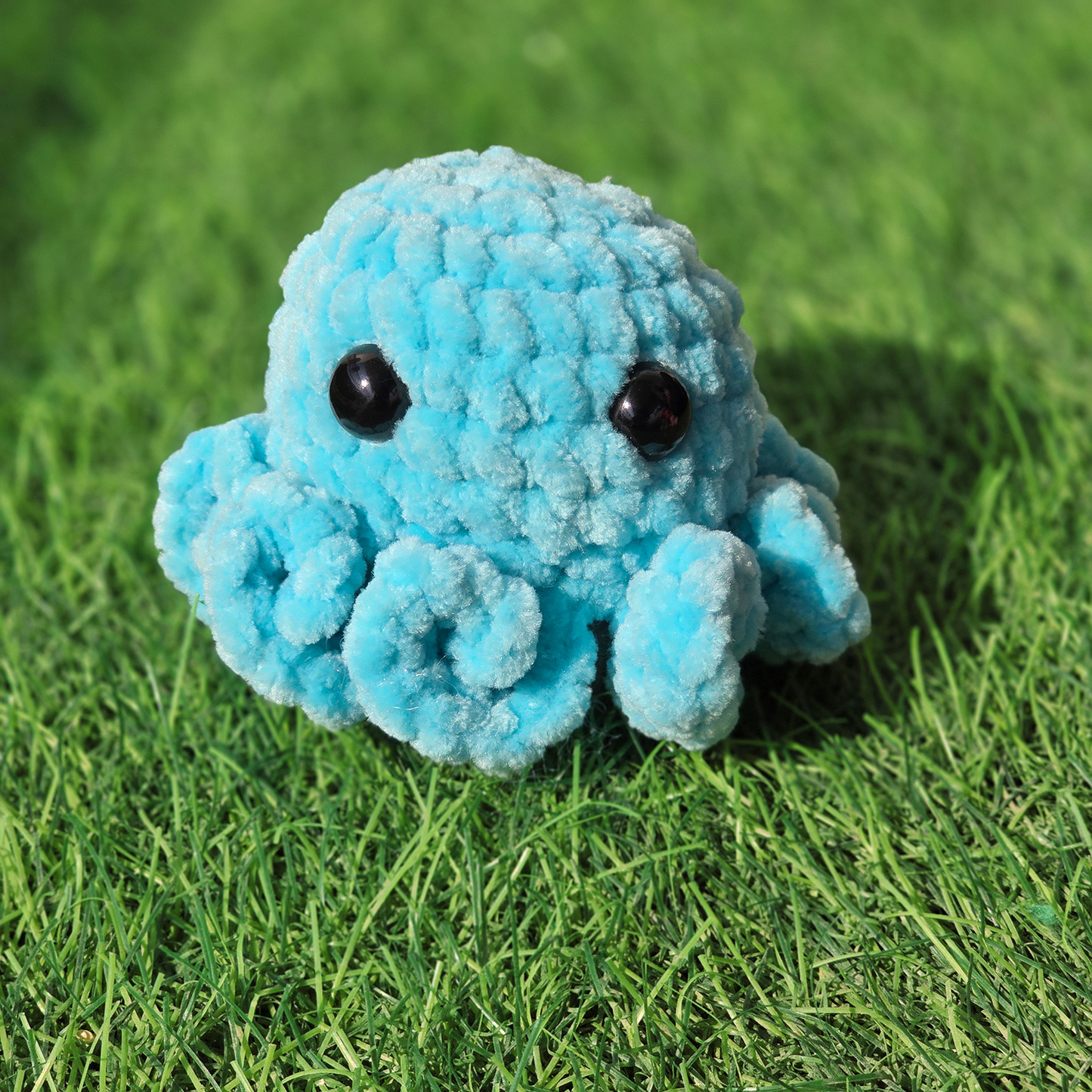 Baby Octopus