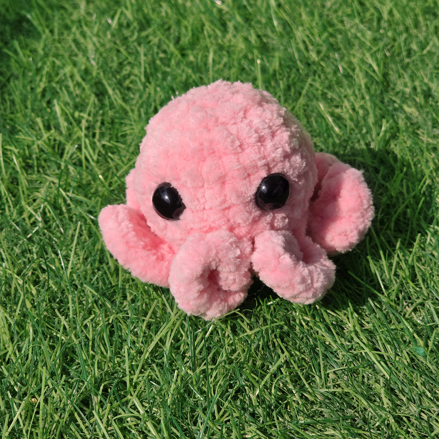 Baby Octopus