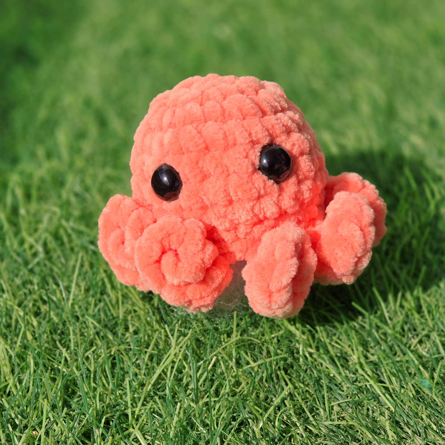 Baby Octopus
