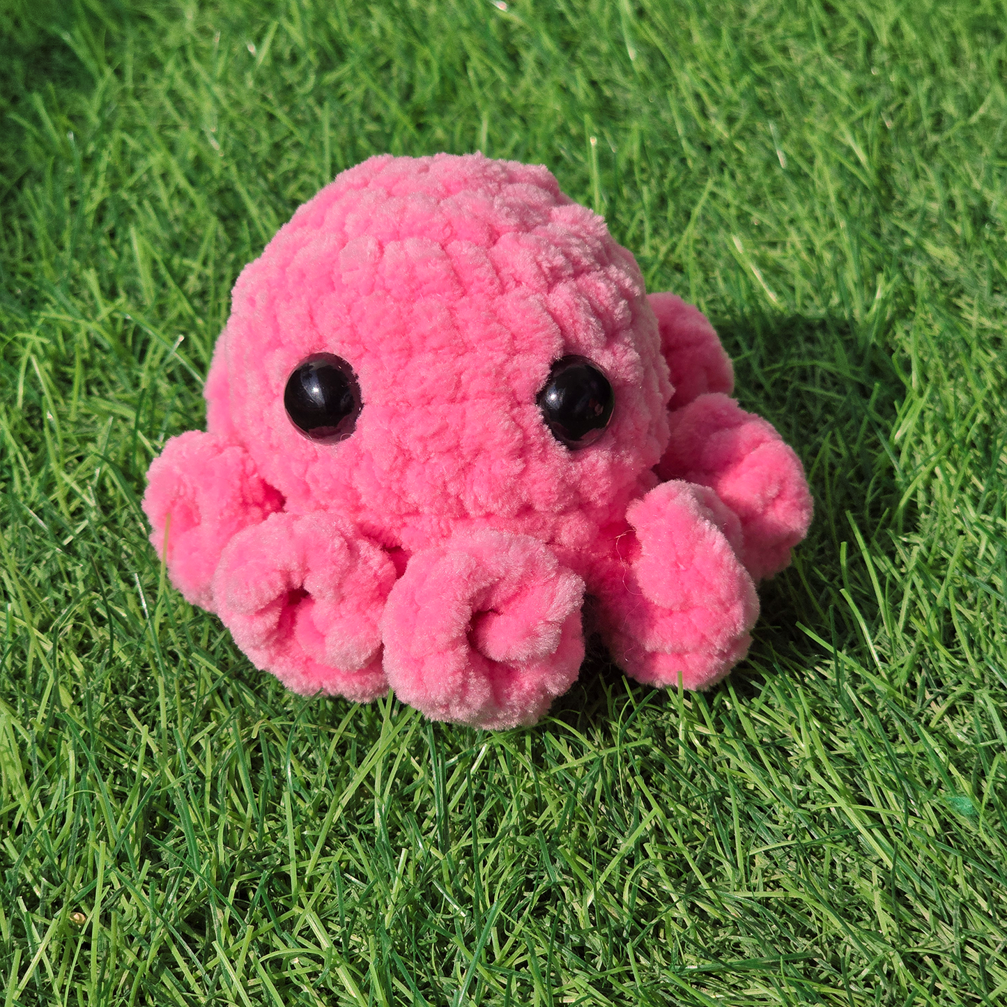 Baby Octopus