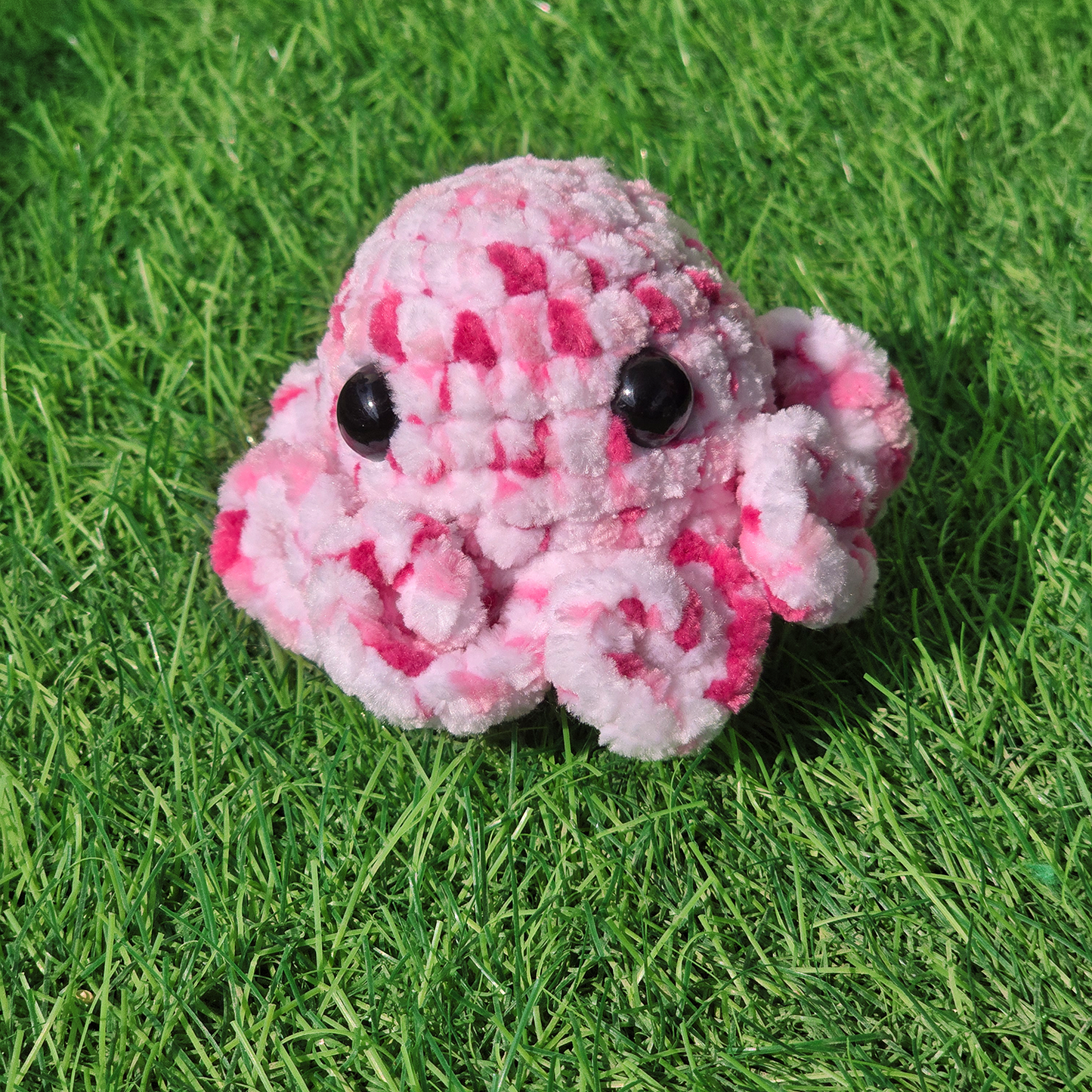 Baby Octopus