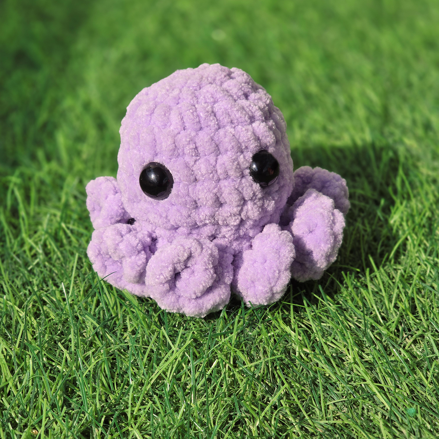 Baby Octopus