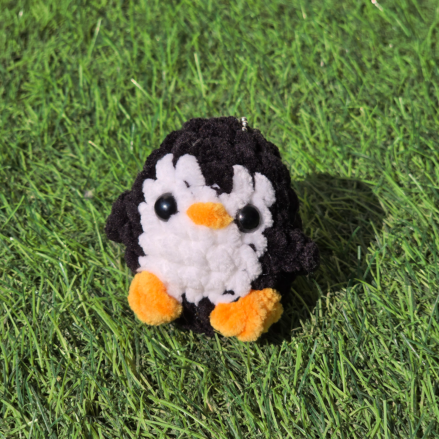 Baby Penguin