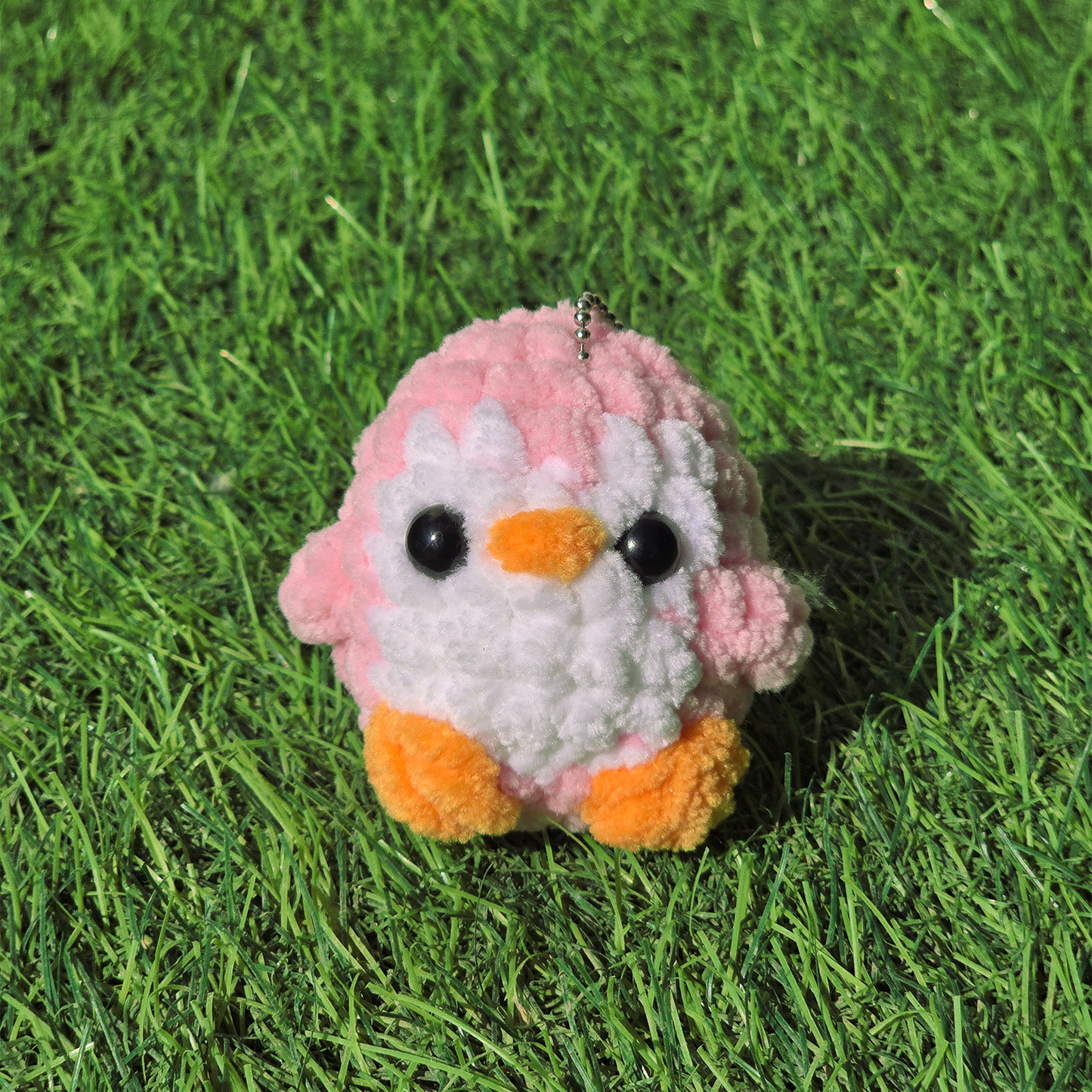 Baby Penguin
