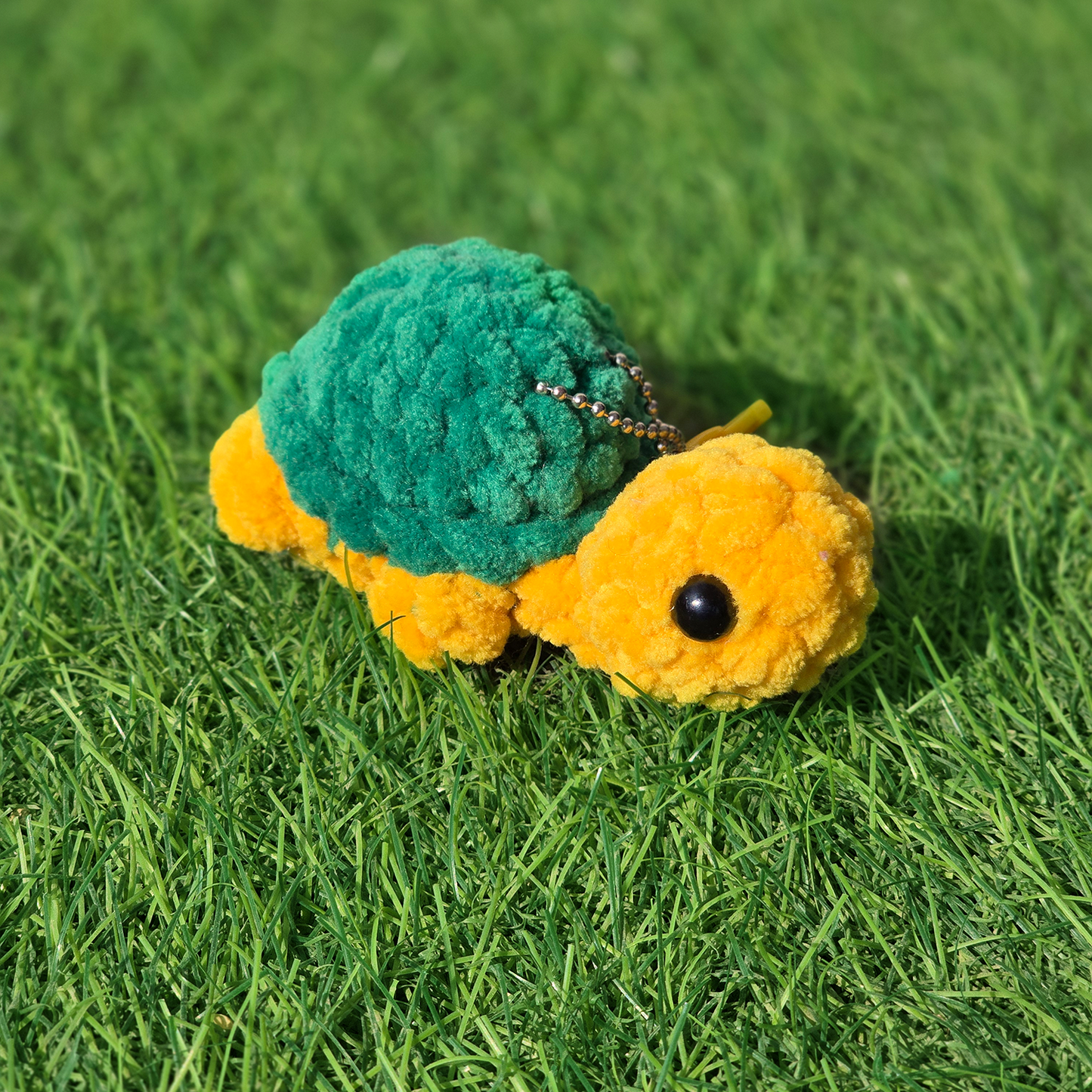 Baby Turtle