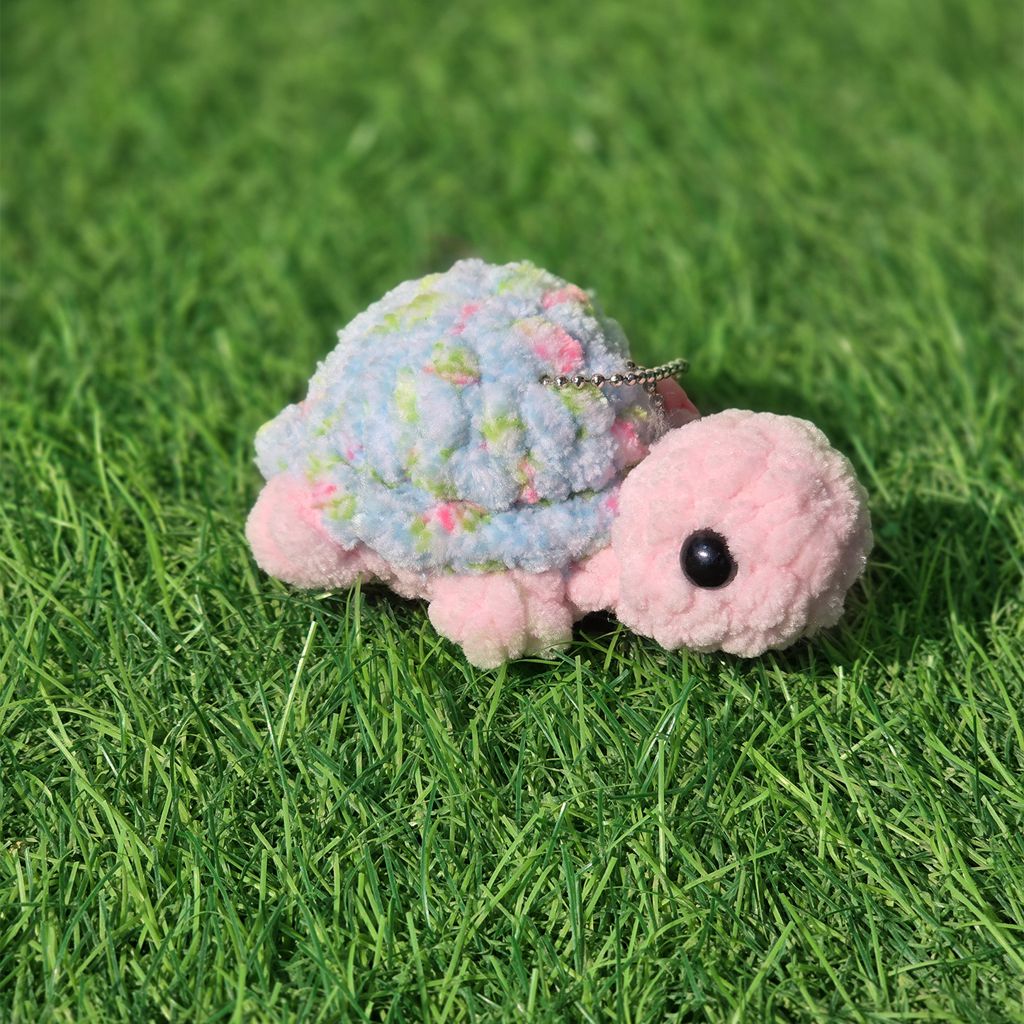 Baby Turtle