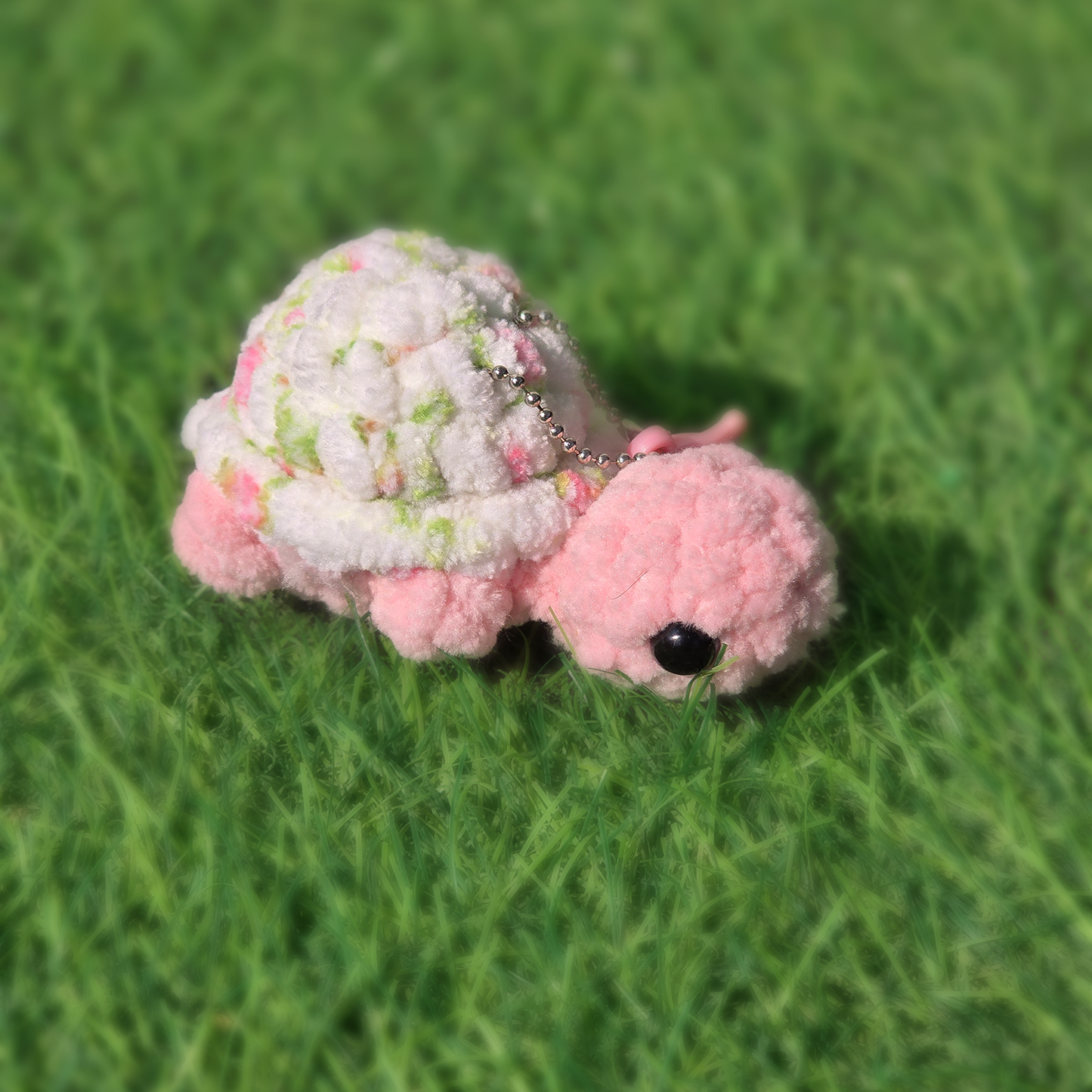 Baby Turtle