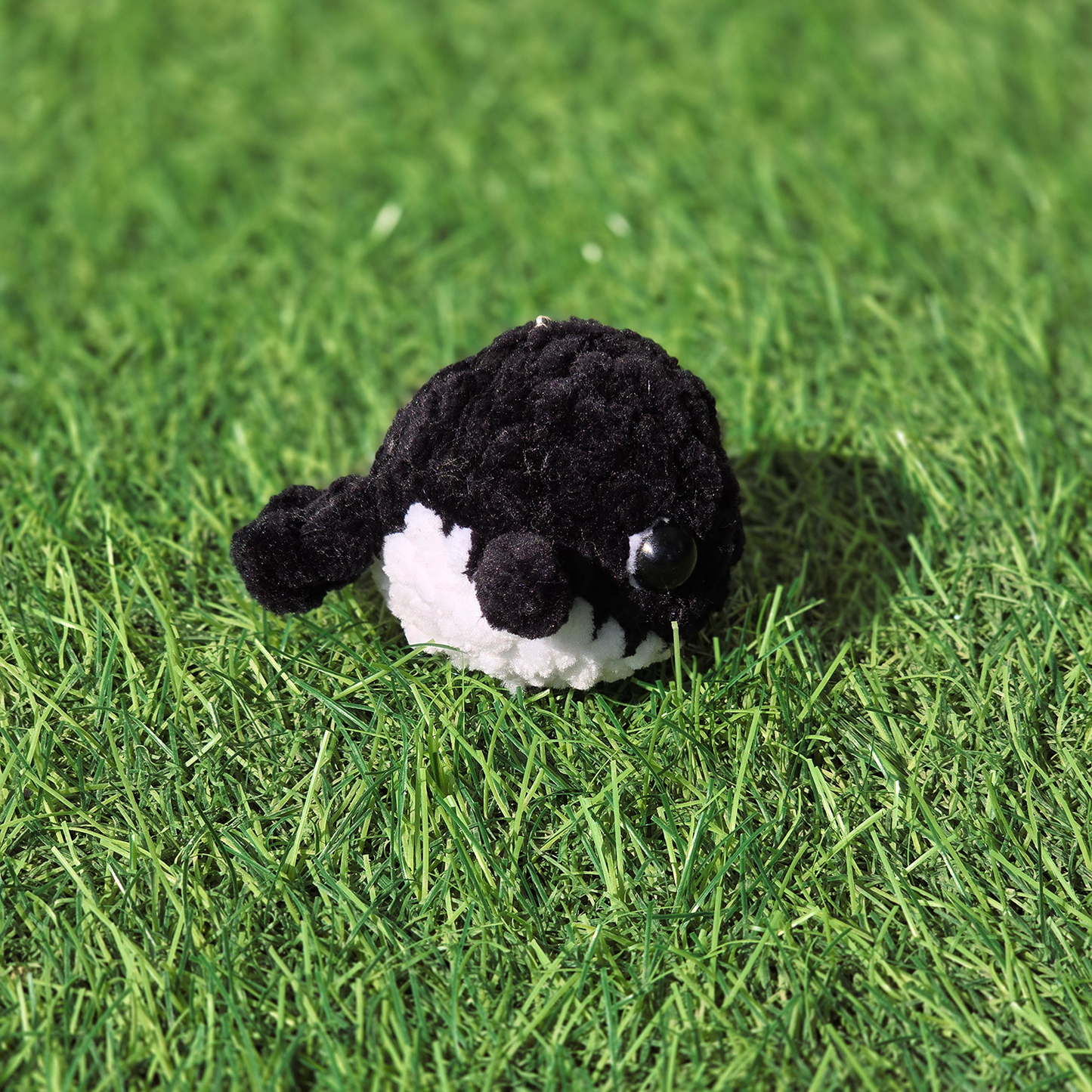 Baby Whale
