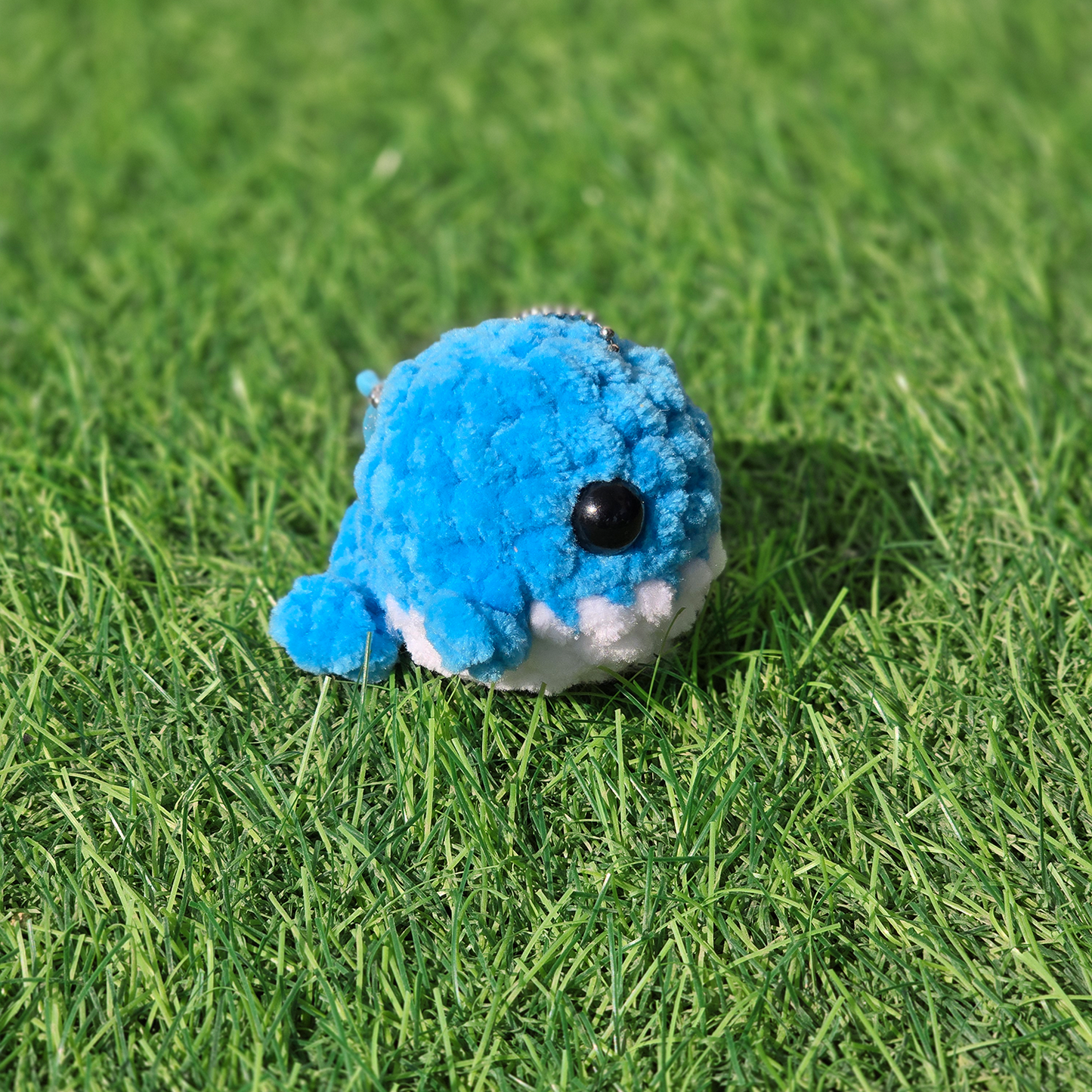 Baby Whale