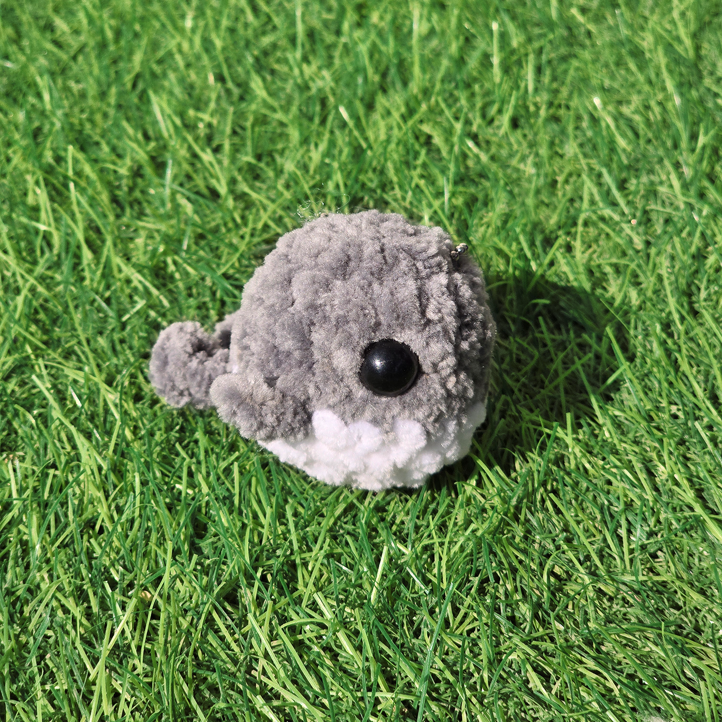 Baby Whale
