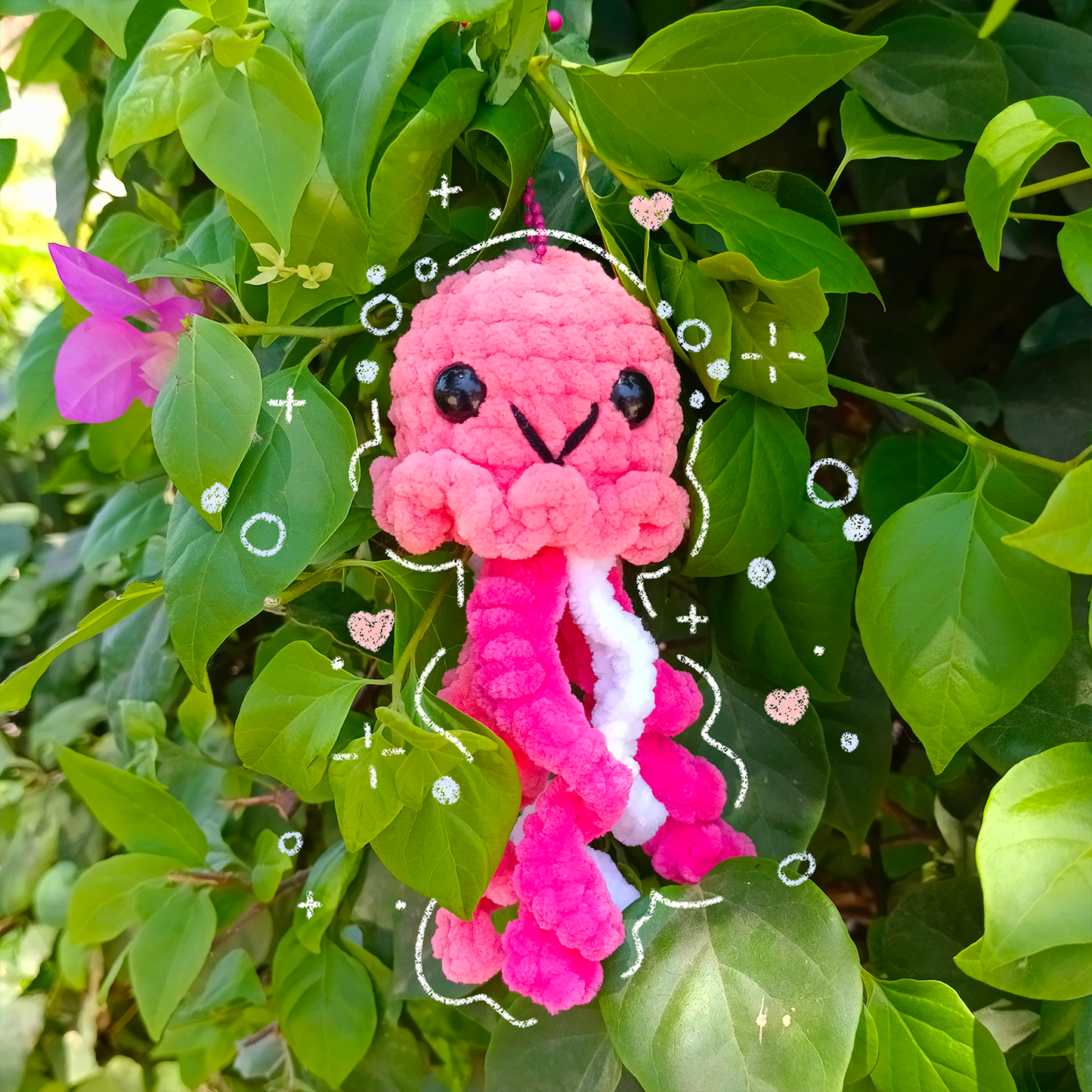 Jellyfish