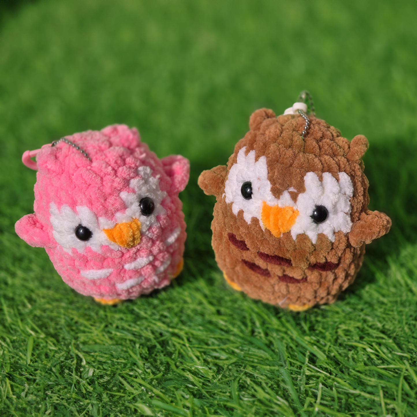 Owl
