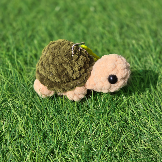 Baby Turtle